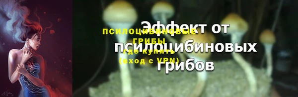 молекула духа Михайлов