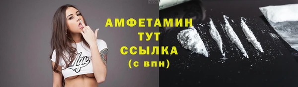 молекула духа Михайлов