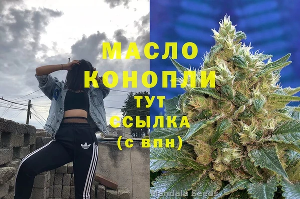 молекула духа Михайлов