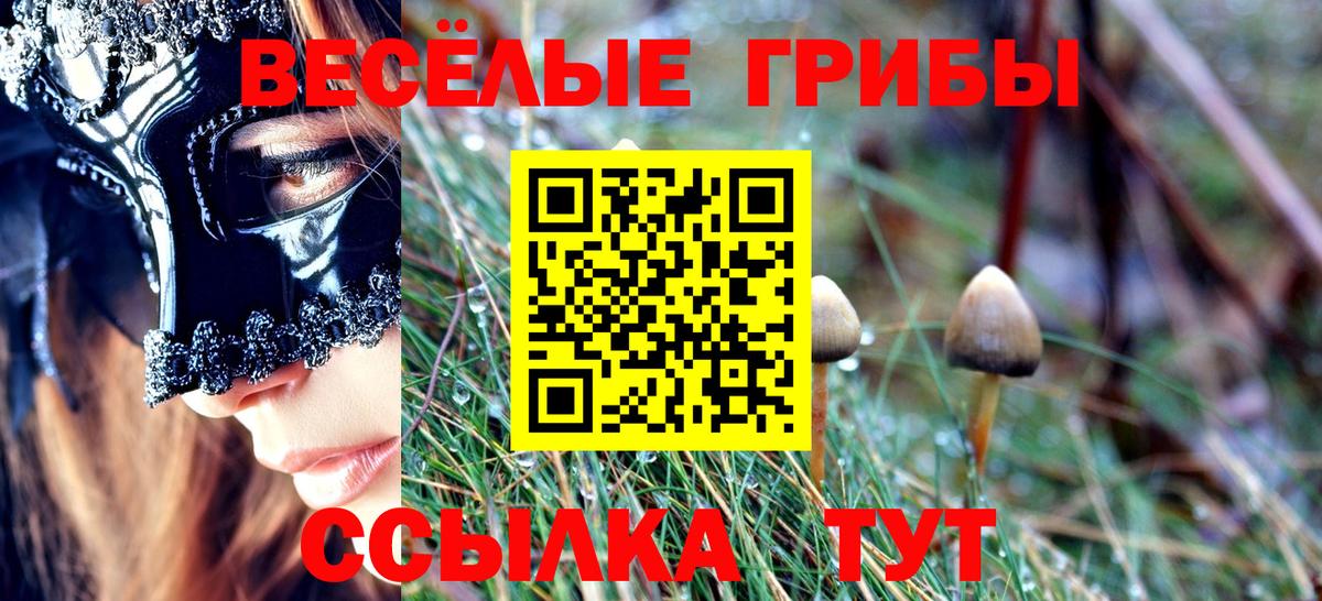 Псилоцибиновые грибы прущие грибы Мариинск