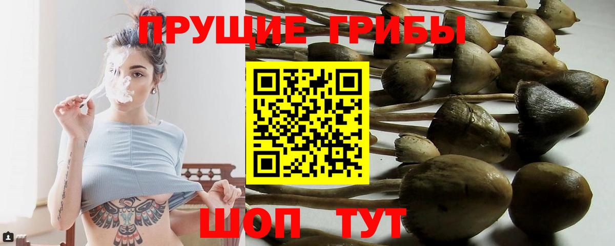 Мариинск  Галлюциногенные грибы GOLDEN TEACHER  Псилоцибиновые грибы ЛСД  Вход с VPN 